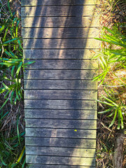 Dappled sunlight on a weathered wooden boardwalk through bushland.