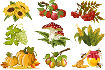 Vector set of autumn harvest.Colored vector illustration with a set of autumn harvest products on a transparent background.