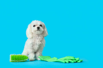 Cute dog with cleaning supplies on blue background