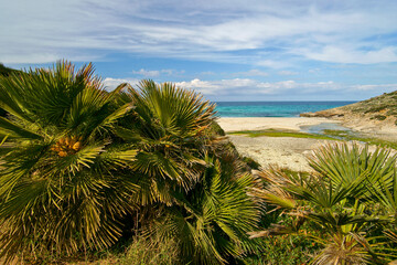 Sa Font Celada beach. Llevant Peninsula. Arta. Mallorca. Balearic Islands. Spain.