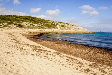 Cala Torta beach. Artà. Mallorca. Balearic Islands. Spain.