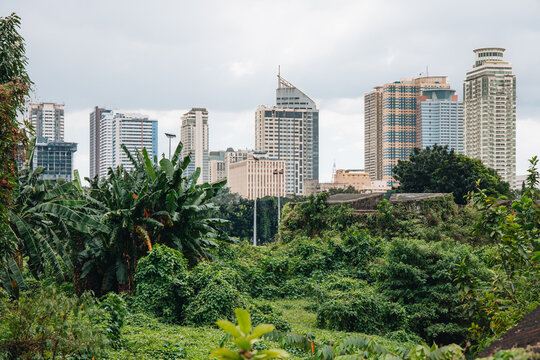 Vue panoramique de Manille, capitale des Philippines avec de la v&eacute;g&eacute;tation au premier plan.
