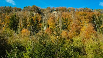 Beautiful color of the fall or autumn in Austria
