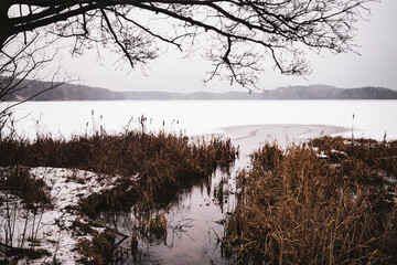 Ghosty frozen winter forest and lake	
