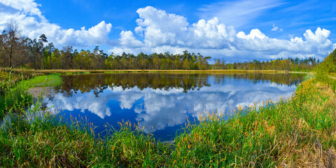 Mastbos Forest, Mastbos Lake, Mastbos Natural Reserve, Breda, Noord-Brabant Province, Holland,...