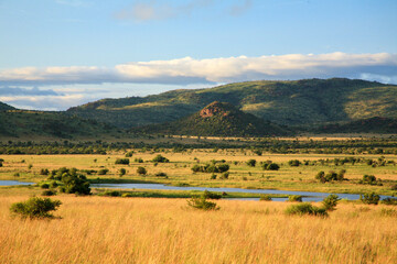 pilanesberg end Kgalagadi Transfrontier Park one of the great parks of South Africa wildlife and...