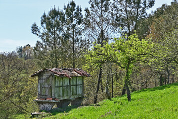 Paesaggi di Galizia, un Horreo sul cammino Primitivo di Santiago di Compostela - Galizia, Spagna