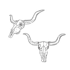 Two line drawn skulls, taking inspiration from the wild west. Bundle of two skull illustrations, drawn by hand and recreated digitally to create a vectorised sketch. 