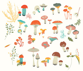 Set of mushrooms in cartoon style, vector illustration