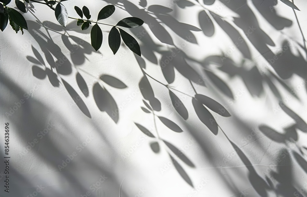 Poster a summer and spring background of blurred shadows from leaves on a white wall. a minimal abstract ba