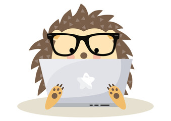 Cute hedgehog working with laptop