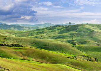 spring or summer nature farm landscape with green salad grassland hills and beautiful cloudy ske on baclground. Farming landscape in spring or summer field