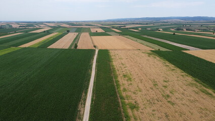 Wheat and corn fields from the air.
