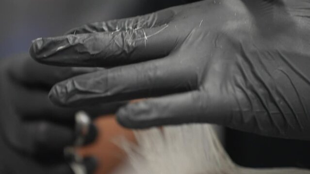 Detail of Professional Hairdressing Tools