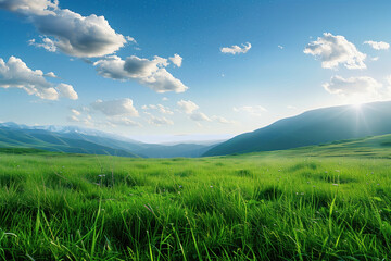 Obraz premium Beautiful green grassland with a beautiful sky with star in the background