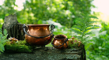 Copper witch cauldrons and mushrooms on tree trunk in forest, natural background. occult esoteric...