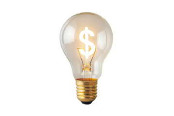 A lightbulb with a dollar sign glowing inside, representing financial ideas and solutions. isolated on a white background.