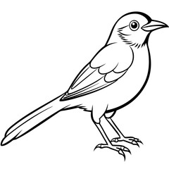 Vector illustration of bird