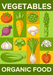 Fresh and healthy farm vegetables, harvesting, organic food. Vector geometric modern vertical poster a4, eco veggies icons. Minimal abstract layout for banner, menu, flyer, cover, farmers market