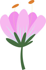 pink flower with leaves