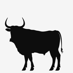 Bull silhouette. Typography icon, logo. Vector illustration