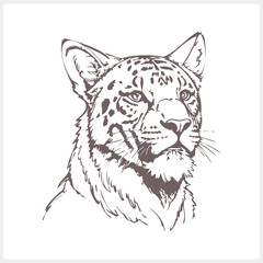 Sketch tiger tattoo isolated Animal clipart Vector stock illustration EPS 10