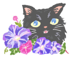 青い瞳の黒猫と美しいアサガオの花