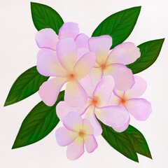 pink flowers on white background