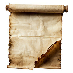Fototapeta premium Old parchment paper with curled edges on a transparent background.