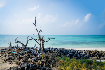 Lakshadweep coral Island, India