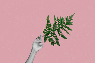 Creative collage picture human hand hold green plant flower tree branch leaves floriculture body fragment hold hand gardener