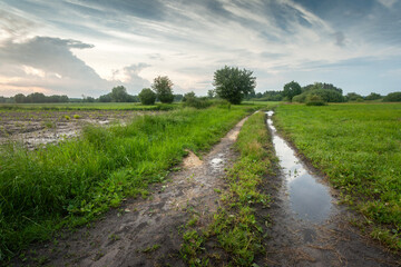 Puddle on dirt road and countryside after rain