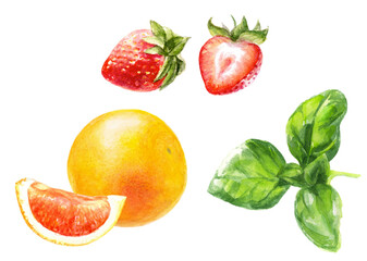Watercolor art of fruits and herbs, perfect for culinary decor and nature designs