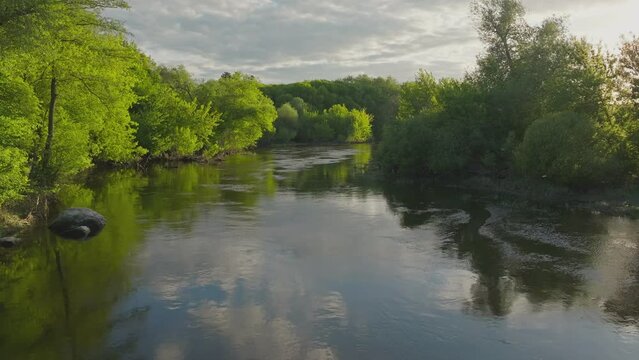 River beautiful morning sun lake forest sunset dawn summer nature