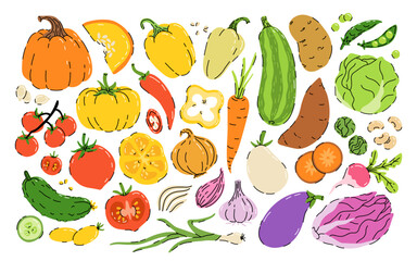 Collection of hand drawn vegetable illustrations isolated on white background. Bundle of fresh delicious vegan diet vegetarian products, wholesome healthy food, cooking ingredients. Flat cartoon style