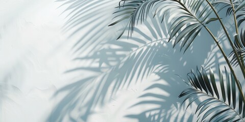 Palm Leaves Cast Shadow On White Wall