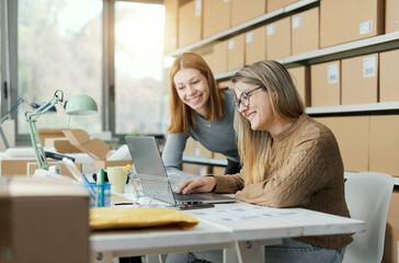 E-commerce business owners working together in the store