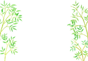 水彩絵の具で描いた笹のイラスト