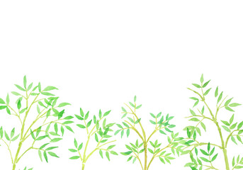 水彩絵の具で描いた笹のイラスト