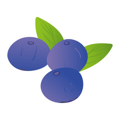 blueberry fruit isolated on transparency background