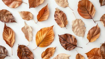 Fototapeta premium Dried autumn leaves displayed in home decor