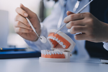 Concentrated dentist sitting at table with jaw samples tooth model and working with tablet and...