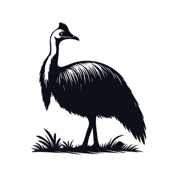 recommend clip art: vector silhouette cassowary design, exotic wildlife clipart, tropical and colorful bird graphics