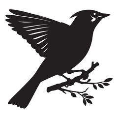 vector silhouette cedar waxwing design, colorful bird illustration, nature and wildlife graphics