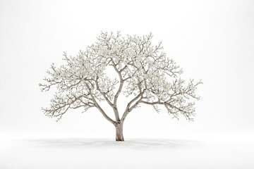 Single Tree in a Snowy Landscape