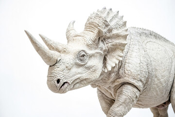 Fototapeta premium White Rhino Close Up