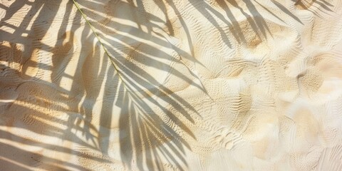 top view of tropical palm leaf shadow on sand color background, summer concept