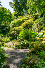 views around the Hidden gardens of ANglesey
