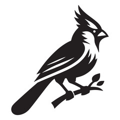 Fototapeta premium bird on a branch