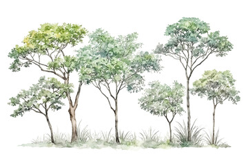 Watercolor Painting of a Row of Trees